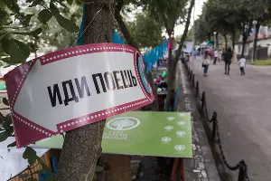 Фестиваль «Стереопикник» в Краснодаре &copy;&nbsp;Фото Евгения Резника, Юга.ру