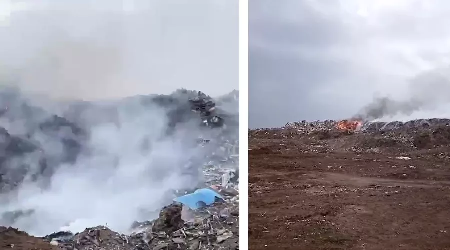  &copy;&nbsp;Коллаж из скриншотов фото из телеграм-канала &laquo;Администрация Усть-Лабинского района&raquo;