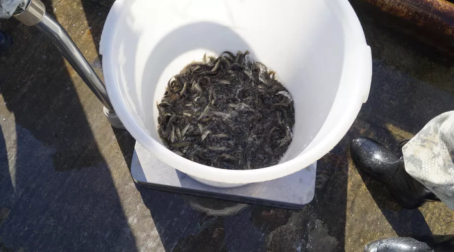  &copy;&nbsp;Фото пресс-службы курорта &laquo;Роза Хутор&raquo;