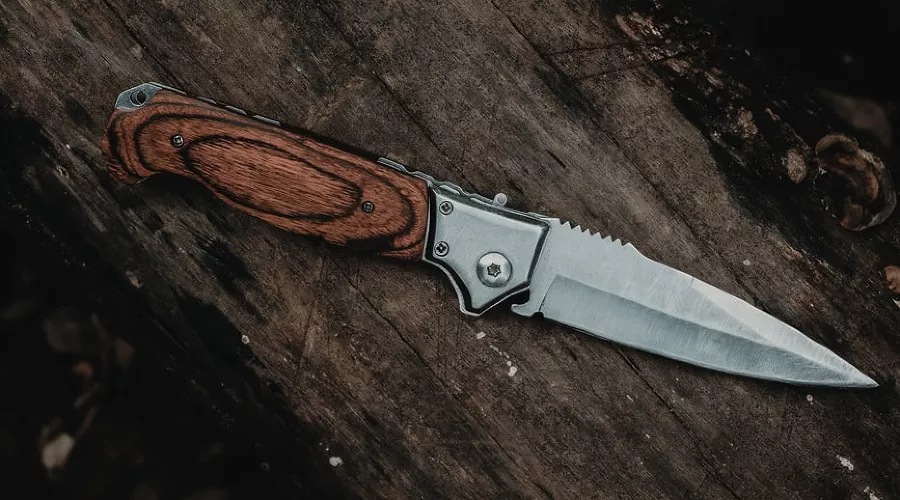  &copy;&nbsp;Фото Igor Figueredo, unsplash.com