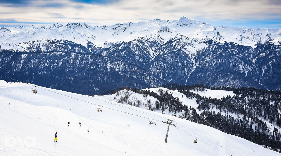  © Фото Елены Синеок, Юга.ру