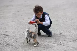  &copy;&nbsp;Елена Синеок, Юга.ру