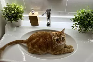  &copy;&nbsp;Фото Александры Булавкиной, Юга.ру