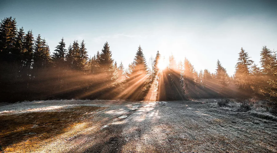  &copy;&nbsp;Фото с сайта picjumbo.com