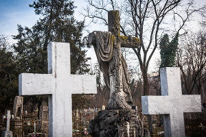  &copy;&nbsp;Елена Синеок, Юга.ру