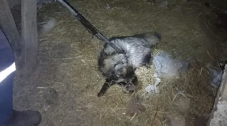  &copy;&nbsp;Фото из инстаграма  ГКУ &laquo;Кубань-СПАС&raquo;, instagram.com/kuban_spas/