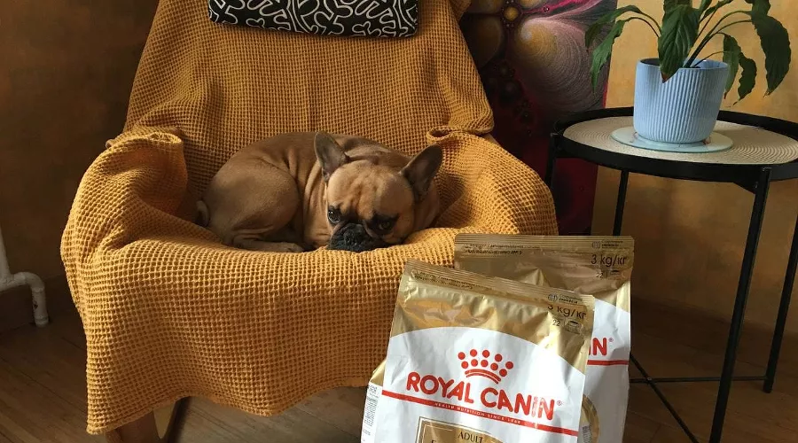  &copy;&nbsp;Фото Олеси Шубиной, Юга.ру