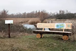 Экотропа «По Дону гуляют» в заказнике «Горненский»  &copy;&nbsp;Фото Евгения Чистякова