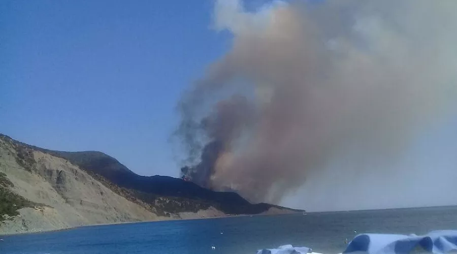  &copy;&nbsp;Фото из телеграм-канала "Жизнь Утриша", t.me/Utrish_Life