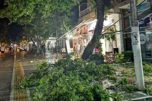  &copy;&nbsp;Фото со страницы twitter.com/8essalonication