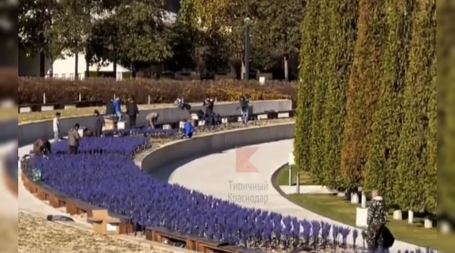  © Скриншот видео из телеграма «Типичный Краснодар», t.me/krd_tipich_ru