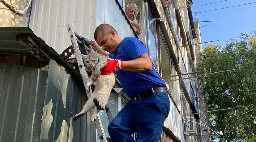  &copy;&nbsp;Фото из телеграма мэрии Краснодара, t.me/krdru