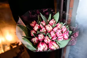 Тюльпаны &copy;&nbsp;Фото Елены Синеок, Юга.ру