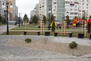 Аллея в честь 80-летия образования Краснодарского края &copy;&nbsp;Фото Елены Синеок, Юга.ру