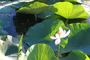  &copy;&nbsp;Фото Марины Солошко, Юга.ру