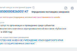  &copy;&nbsp;Скриншот с сайта zakupki.gov.ru