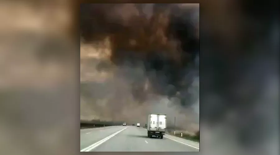  &copy;&nbsp;Скриншот видео из паблика Typodar в инстаграме, instagram.com/typodar/