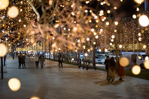 Парк «Краснодар» &copy;&nbsp;Фото Елены Синеок, Юга.ру