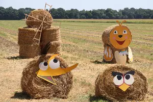  &copy;&nbsp;Фото пресс-службы Тбилисского района