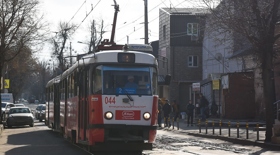  © Фото Елены Синеок, Юга.ру