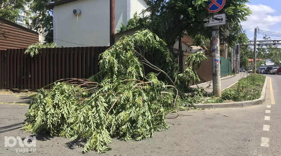  &copy;&nbsp;Фото Александра Гончаренко, Юга.ру