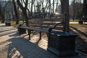  © Фото Елены Синеок, Юга.ру