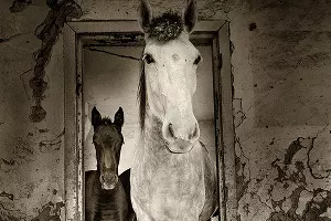 Артем Картавкин &laquo;Вход&raquo; &copy;&nbsp;Фото предоставлено фотоклубом &laquo;Лагонаки&raquo;
