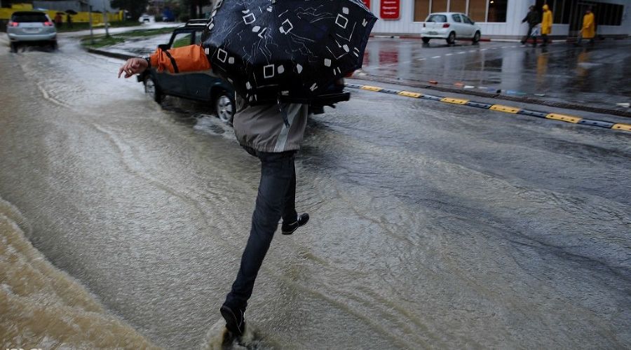  © Фото Нины Зотиной, Юга.ру