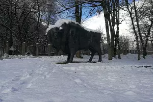  &copy;&nbsp;Фото пресс-службы Кавказского заповедника