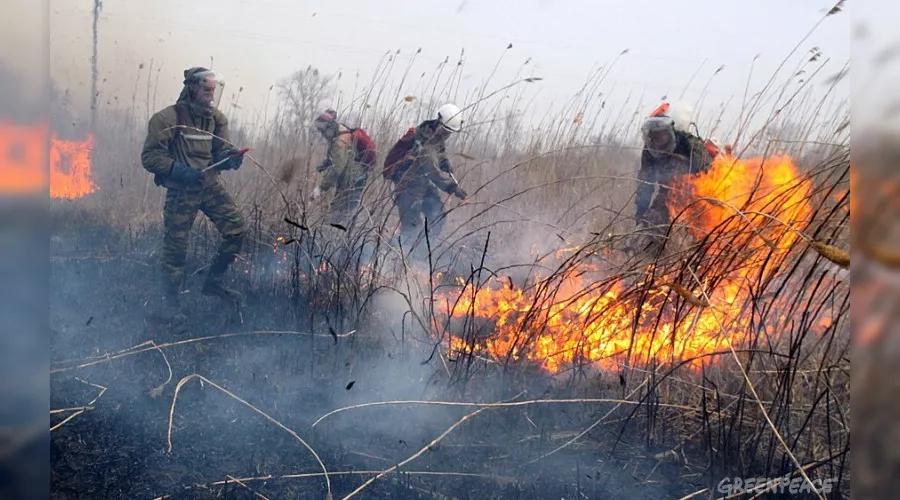  &copy;&nbsp;Фото пресс-службы Гринпис