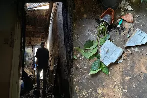  &copy;&nbsp;Скриншот из телеграм-канала https://t.me/rastenishnaya