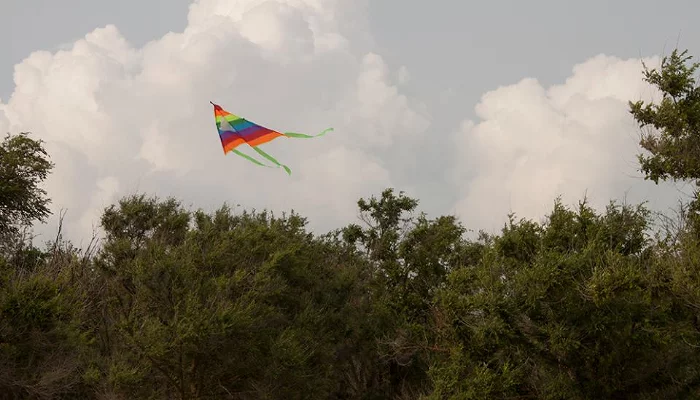 Квир-фестиваль «Черноморье-2017» &copy;&nbsp;Фото предоставлено организатором фестиваля