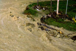  © Фото Владислава Щеколдина, Юга.ру