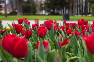  &copy;&nbsp;Фото Елены Синеок, Юга.ру