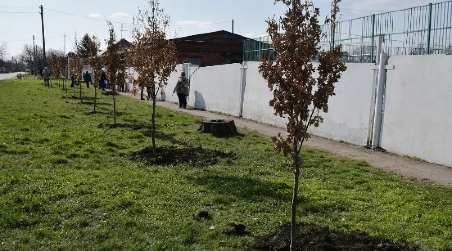  &copy;&nbsp;Фото пресс-службы администрации Краснодара