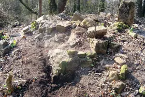  &copy;&nbsp;Фото пресс-службы Сочинского нацпарка