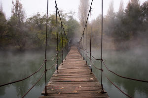 Туман в парке «Солнечный остров» © Фото Елены Синеок, Юга.ру