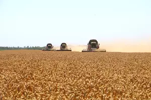  &copy;&nbsp;Фото пресс-службы Тбилисского района