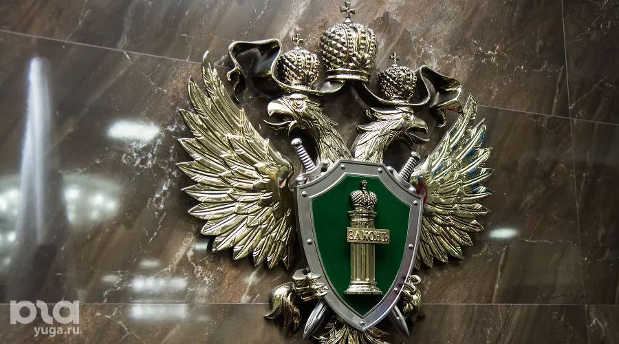  &copy;&nbsp;Фото Елены Синеок, Юга.ру