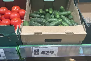  &copy;&nbsp;Фото Марии Журавлевой, Юга.ру