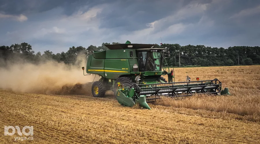  &copy;&nbsp;Фото Елены Синеок, ЮГА.ру