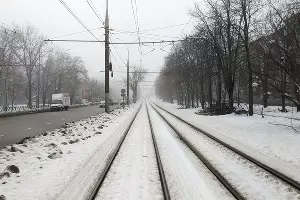  &copy;&nbsp;Фото Александры Прохоренковой-Аксеновой, Юга.ру