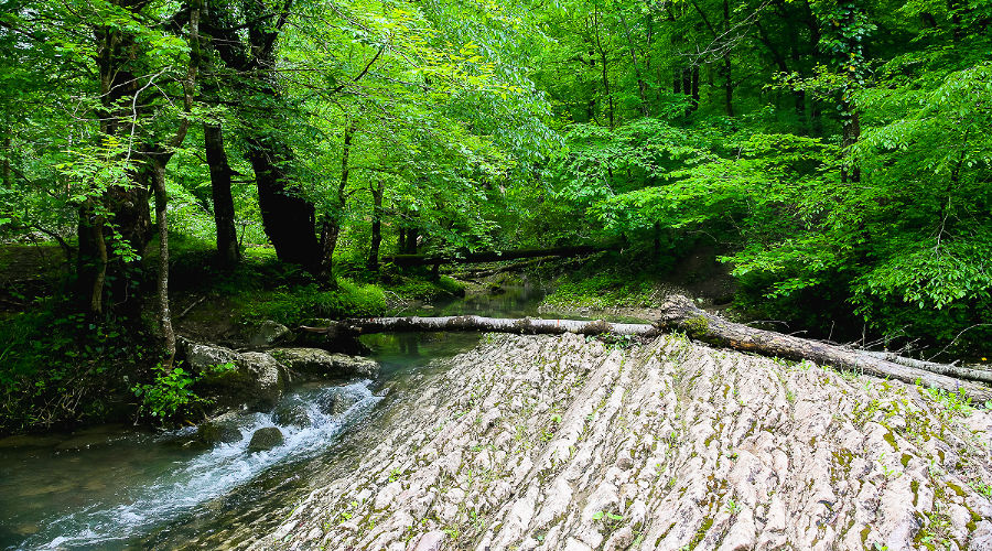  &copy;&nbsp;Фото пресс-службы Южного регионального поисково-спасательного отряда МЧС России