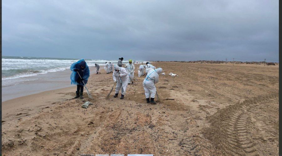  &copy;&nbsp;Скриншот фото из телеграм-канала &laquo;Оперативный штаб - Краснодарский край&raquo;