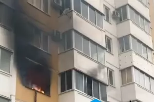  &copy;&nbsp;Скриншот из видео www.instagram.com/typodar/