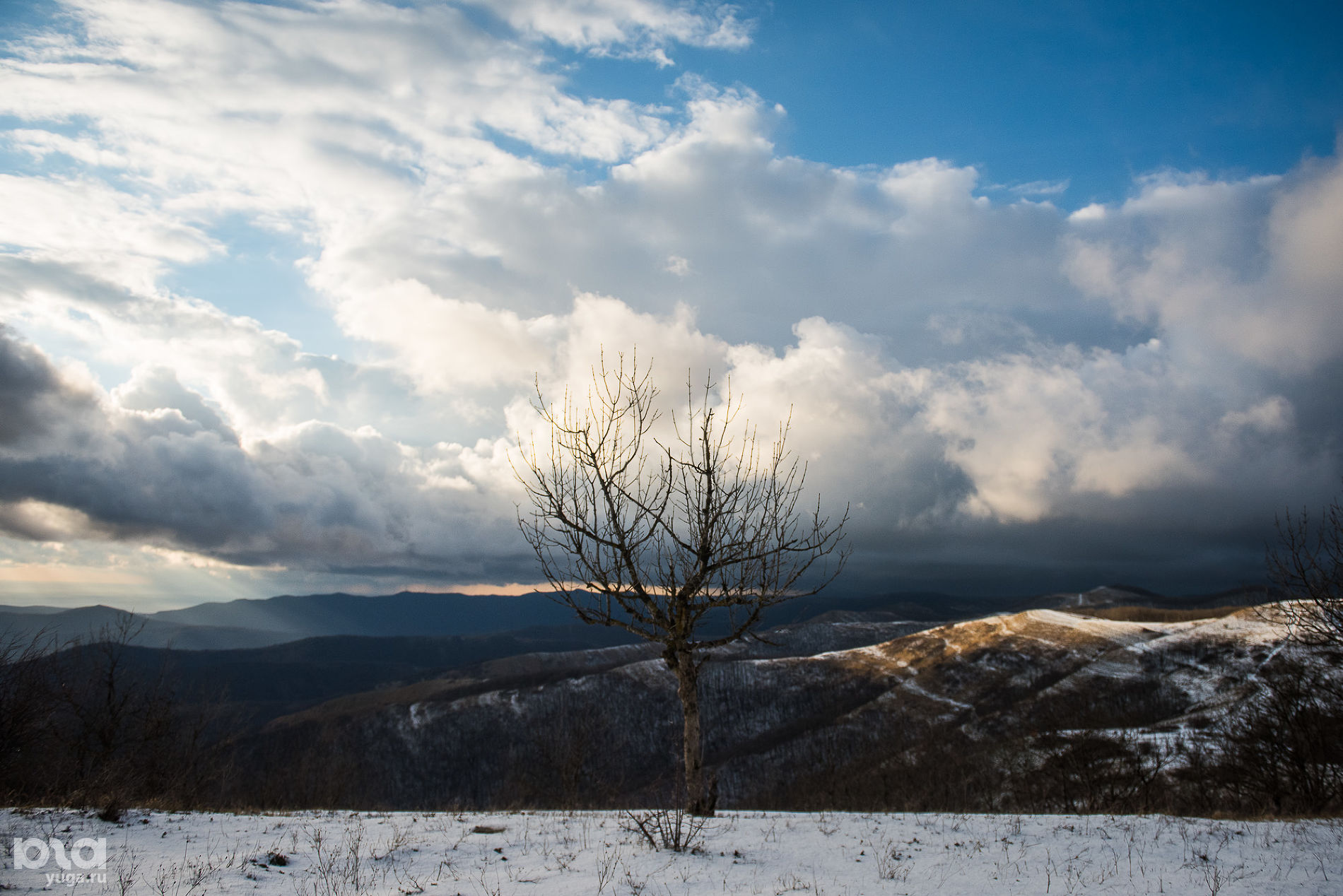 Горы Геленджика © Фото Елены Синеок, Юга.ру