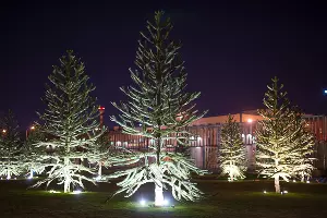 Парк «Краснодар» &copy;&nbsp;Фото Елены Синеок, Юга.ру