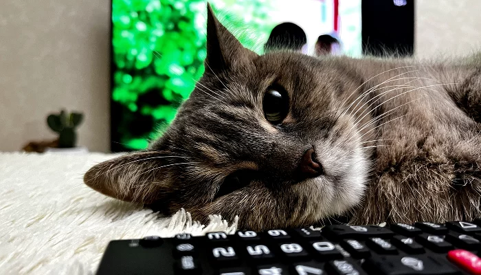  &copy;&nbsp;Фото Александры Булавкиной, Юга.ру