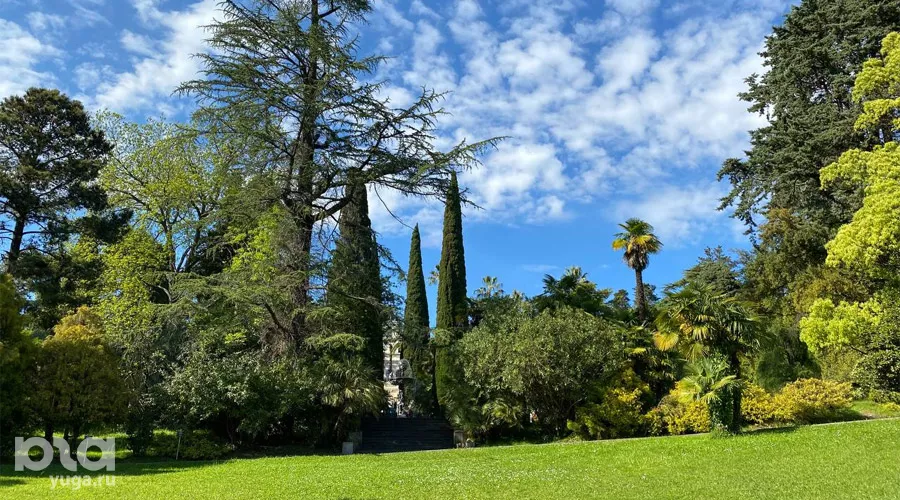 Дендрарий в Сочи &copy;&nbsp;Фото Влады Мандрыка, Юга.ру