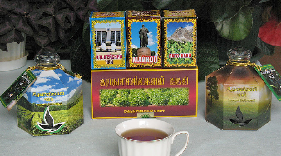 Адыгейский чай © Фото с сайта www.vniisubtrop.ru